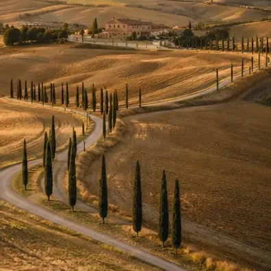The Tuscan Table